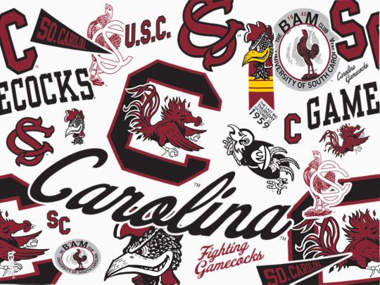 South Carolina Gamecocks - All Over