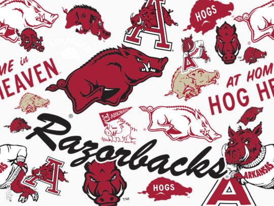Arkansas Razorbacks - All Over