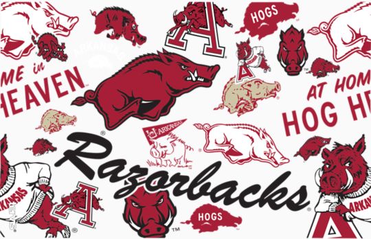 Arkansas Razorbacks - All Over