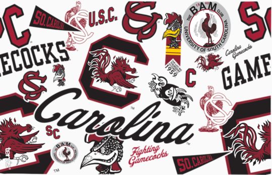 South Carolina Gamecocks - All Over