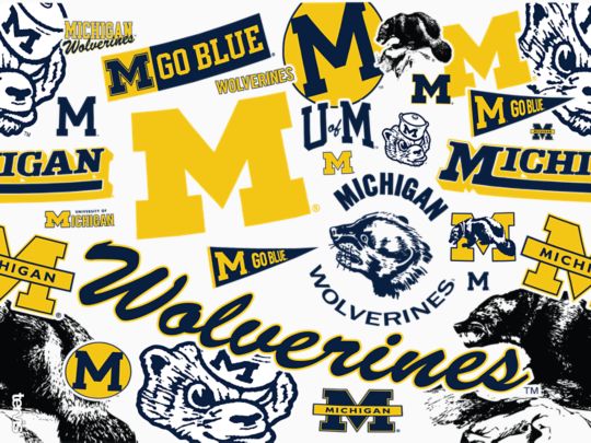 Michigan Wolverines - All Over