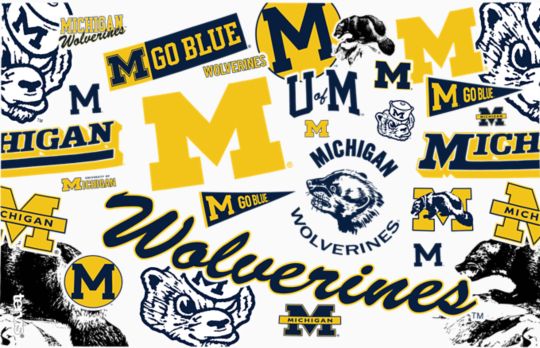 Michigan Wolverines - All Over