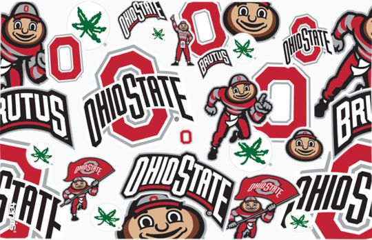 Ohio State Buckeyes - All Over