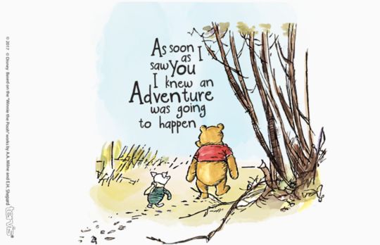 Disney - Winnie the Pooh Adventure