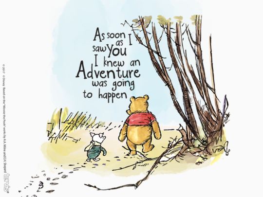 Disney - Winnie the Pooh Adventure