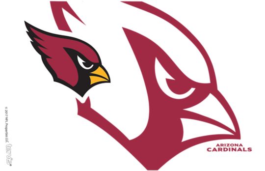 NFL® Arizona Cardinals Genuine | Tervis