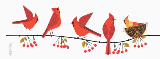 Cardinals