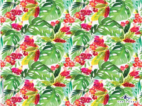 Yao Cheng - Tropical Bloom