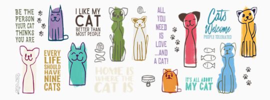 Cat Sayings