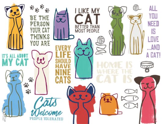 Cat Sayings