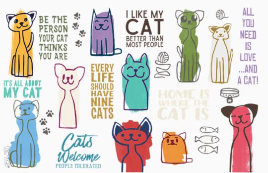 Cat Sayings