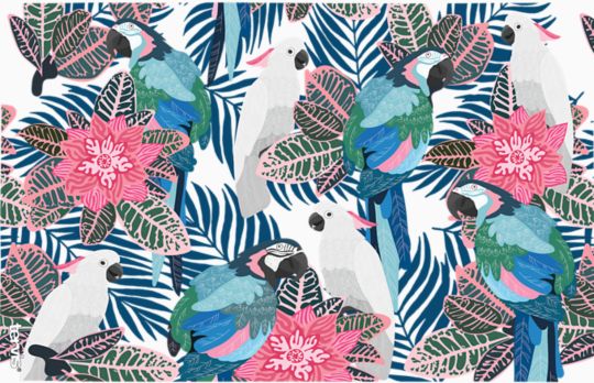 Tropical Birds Collage