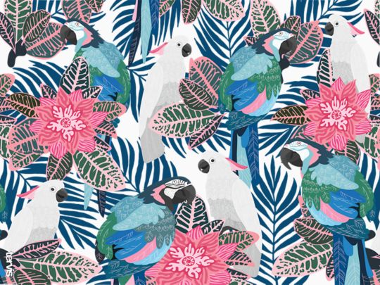 Tropical Birds Collage