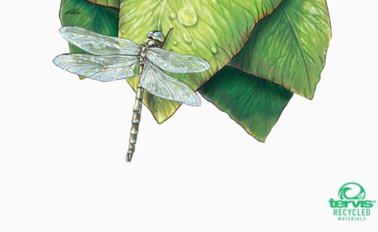 Recycled Dragonfly & Leaf