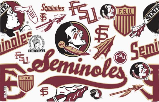 Florida State Seminoles - All Over