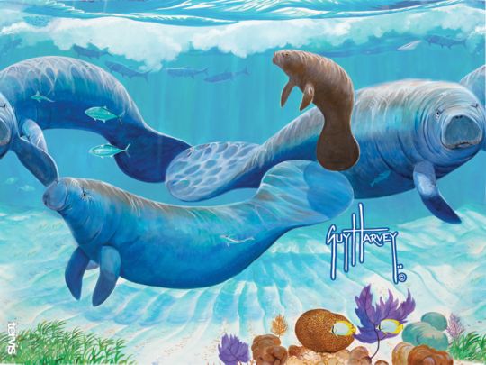 Guy Harvey® - Manatee