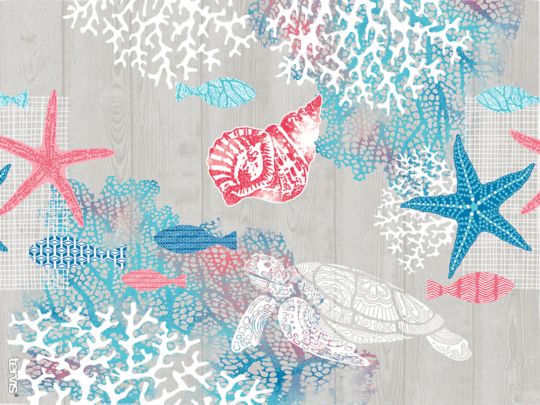 Ocean Life Dive