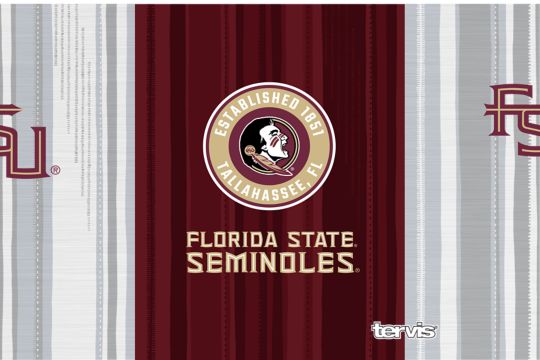 Florida State Seminoles - All In