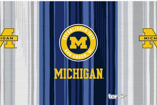 Michigan Wolverines - All In