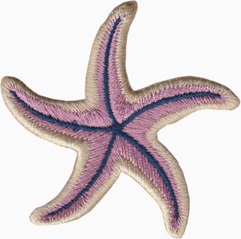 Beach - Sea Star