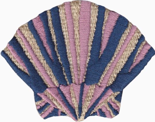 Beach - Scallop Shell