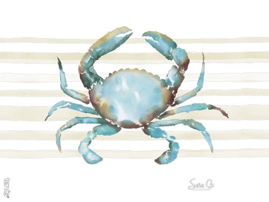 Sara Berrenson - Atlantic Crab