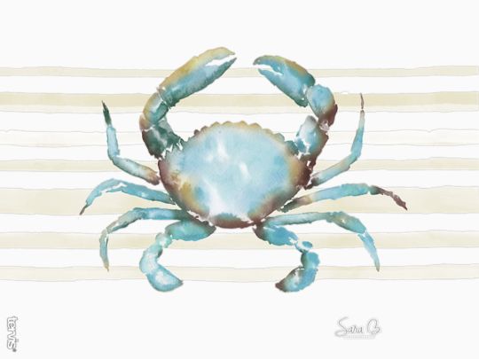 Sara Berrenson - Atlantic Crab