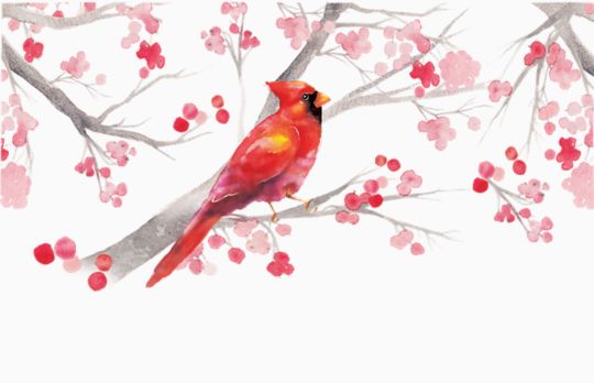 Cardinal and Berry Branches