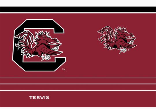 South Carolina Gamecocks - MVP