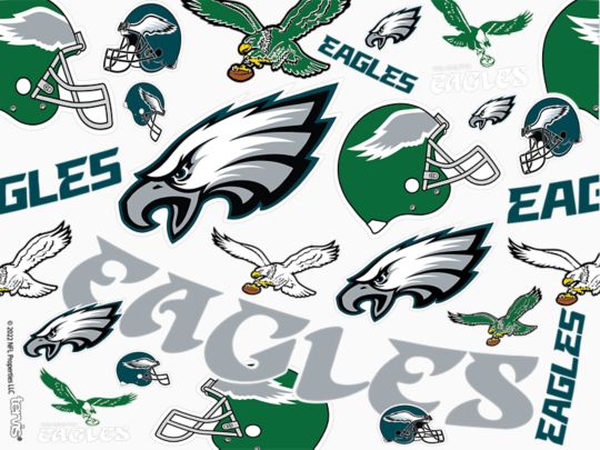 NFL® Philadelphia Eagles All Over