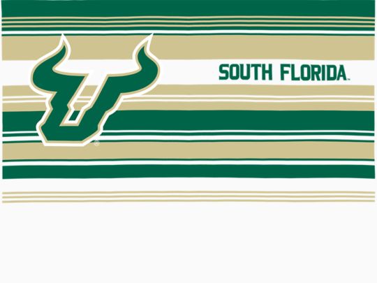 USF Bulls - Hype Stripes