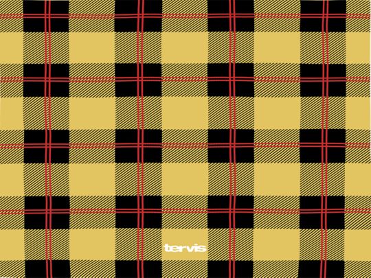 Rugged Plaid