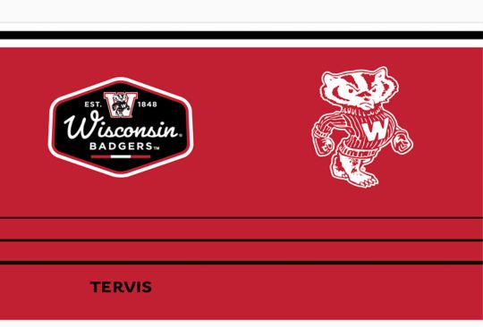 Wisconsin Badgers - Vintage