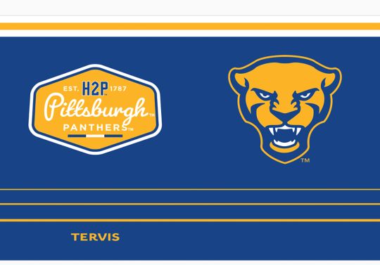 Pittsburgh Panthers - Vintage