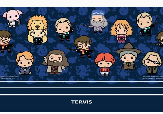 Harry Potter™ - Charm