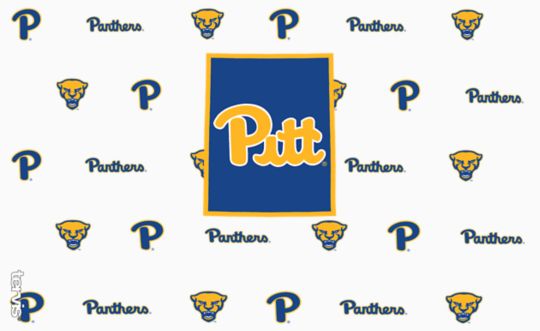 Pittsburgh Panthers - Overtime