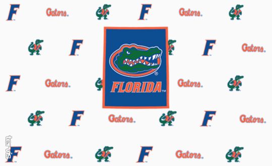 Florida Gators - Overtime