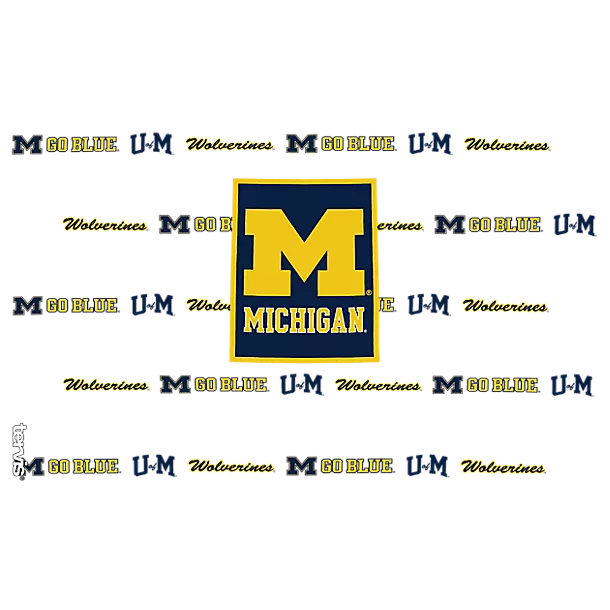 Michigan Wolverines - Overtime
