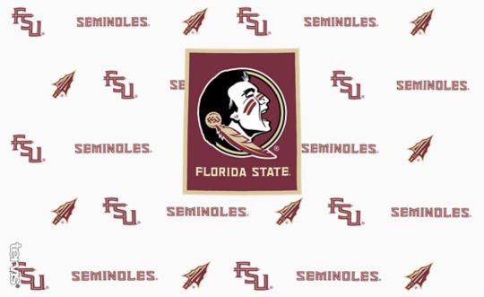 Florida State Seminoles - Overtime