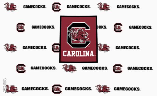 South Carolina Gamecocks - Overtime