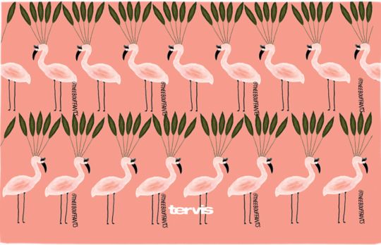 Bouffants and Broken Hearts - Flocking Beautiful