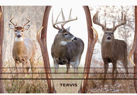 Deer Trio