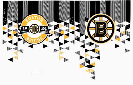 NHL® Boston Bruins® - Shatter