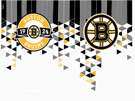 NHL® Boston Bruins® - Shatter