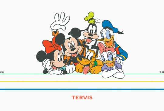 Disney - Mickey Group