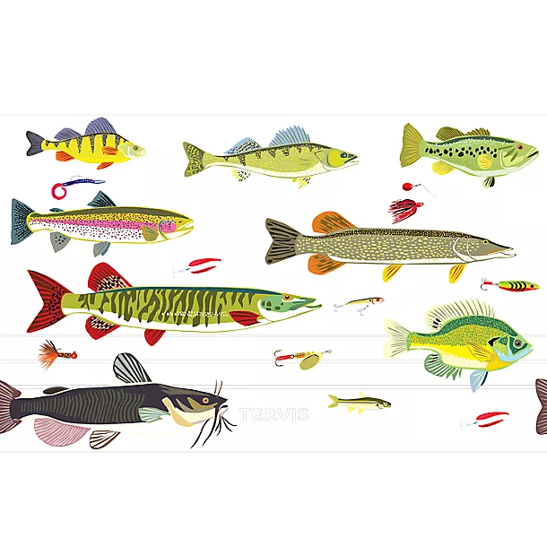 Freshwater Fish and Lures