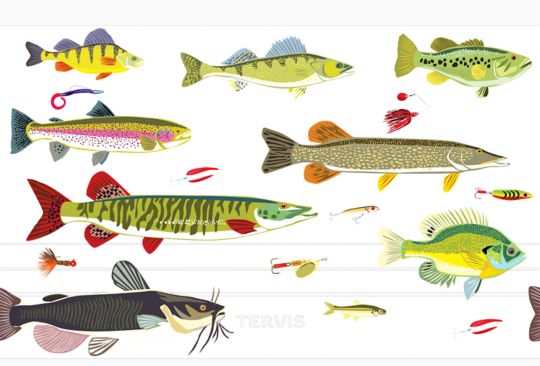 Freshwater Fish and Lures