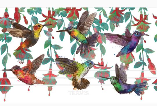 Colorful Hummingbirds