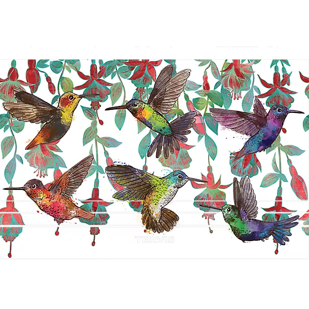 Colorful Hummingbirds