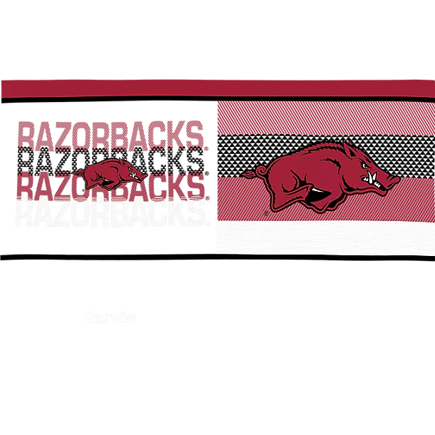 Arkansas Razorbacks - Competitor